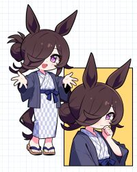  1girl absurdres animal_ears bath_yukata blush brown_hair closed_mouth commentary_request flipped_hair grey_kimono hair_bun hair_over_one_eye highres horse_ears horse_girl horse_tail japanese_clothes jorang_(jorang08) kimono korean_commentary long_hair long_sleeves looking_at_viewer open_clothes open_mouth open_robe outstretched_arms rice_shower_(umamusume) robe sandals smile tail umamusume violet_eyes yukata 