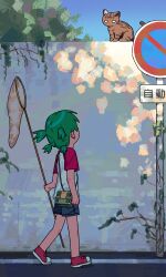  absurdres azumanga_daioh blue_shorts butterfly_net commentary concrete_wall crossover green_hair hand_net highres holding holding_butterfly_net koiwai_yotsuba looking_at_object mayaa_(azumanga_daioh) no_parking_sign pilot_webber plant red_shoes road road_sign shirt shoes shorts sign sky sunlight tree walking white_shirt yotsubato! 