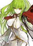  bodysuit breasts c.c. code_geass green_hair highres long_hair looking_at_viewer pupps smile solo thigh_gap thighs yellow_eyes 