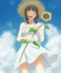  amagami brown_hair carrying closed_eyes cloud clouds dress eyes_closed flower from_below happy hat sky smile solo standing straw_hat sundress sunflower tanaka_keiko toki_(artist) wind 