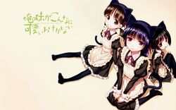  black_hair brown_eyes brown_hair catgirl gokou_hinata gokou_ruri gokou_tamaki maid matsuryuu ore_no_imouto_ga_konna_ni_kawaii_wake_ga_nai stockings tagme tail violet_eyes 