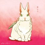  barnaby_brooks_jr bunny curly_hair mamemo_(daifuku_mame) no_humans rabbit solo superhero tiger_&amp;_bunny 