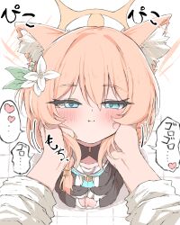  1boy 1girl :i afterimage animal_ear_fluff animal_ears black_dress blue_archive blue_eyes blush brown_hair cat_ears closed_mouth commentary_request dress ear_wiggle flower hair_between_eyes hair_flower hair_ornament halo hands_on_another's_face heart heart-shaped_pupils highres long_hair looking_at_viewer mari_(blue_archive) norippe_(user_zgsf8872) nun pov sensei_(blue_archive) symbol-shaped_pupils translation_request white_background white_flower 