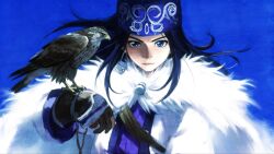  1girl ainu ainu_clothes asirpa bandana bird bird_on_hand black_gloves black_hair blue_background blue_bandana blue_eyes cape cloak closed_mouth commentary earrings fingerless_gloves fur_cape fur_cloak gloves golden_kamuy hat hawk headband highres hoop_earrings jewelry kapy286 long_hair looking_at_viewer purple_headband simple_background single_fingerless_glove solo upper_body 