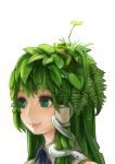  1girl animal_on_head bust frog green_eyes green_hair highres kochiya_sanae leaf potionu smile snake solo touhou 
