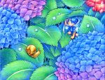  1girl blue_eyes blue_hair cape cloak colored_pencil_(medium) colorful copyright_request dew eye_contact flower hoshina_(kinoko) hydrangea leaf looking_at_another minigirl short_hair shorts snail traditional_media water water_drop wink 