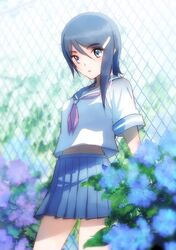  blue_eyes blue_hair blush flower hair_ornament hairclip idolmaster idolmaster_dearly_stars midriff mizutani_eri open_mouth riyo_(riyontoko) school_uniform serafuku short_hair skirt solo 