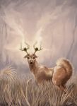  highres looking_at_viewer nature no_humans outdoors pokemon pokemon_(creature) rajewel realistic signature solo stantler 