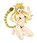  ahoge animal_ears barefoot bikini black_bikini blonde_hair blue_eyes fangs hands kneeling long_hair mayumio88 original simple_background solo swimsuit tail tiger_ears tiger_tail white_background 