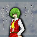  blush confession green_hair kazami_yuuka takashiro touhou 