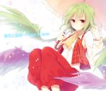  ascot green_hair holding kazami_yuuka kazami_yuuka_(pc-98) pants plaid plaid_vest red_eyes seihou short_hair solo toosaka_asagi touhou touhou_(pc-98) umbrella wings 