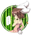  1girl animal_ears brown_hair bunny_ears bunny_tail carrot dress inaba_tewi jewelry noya_makoto pendant short_hair solo tail thought_bubble touhou yellow_eyes 