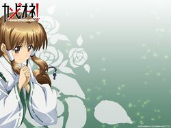  brown_eyes brown_hair campione! japanese_clothes long_hair mariya_yuri miko wallpaper 