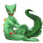  andrea_botiller creature green_skin looking_at_viewer no_humans pokemon pokemon_(creature) realistic sceptile sitting solo transparent_background 