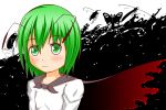  antennae bee beetle blush_stickers butterfly cape centipede dragonfly firefly green_eyes green_hair light_smile long_sleeves looking_at_viewer minaka praying_mantis rhinoceros_beetle short_hair solo touhou transparent_background wriggle_nightbug 