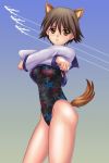  animal_ears brown_eyes brown_hair competition_swimsuit dog_ears highres miyafuji_yoshika one-piece_swimsuit sailor_collar saw_(artist) shirt short_hair strike_witches swimsuit tail undressing 
