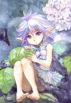  1girl barefoot dress fairy flower hirokazu hydrangea leaf nature original pointy_ears short_hair silver_hair sitting violet_eyes water 