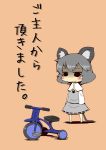  animal_ears mouse_ears mouse_tail nazrin silver_hair simple_background solo tail tears touhou translated translation_request tricycle zannen_na_hito 
