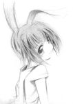  animal_ears bunny_ears copyright_request jason_(kaiten_kussaku_kikou) jiei_son monochrome rabbit_ears simple_background smile solo white_background 