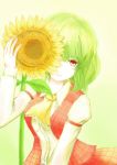  ascot covering_face enriend flower green_hair kazami_yuuka leaf long_sleeves red_eyes short_hair smile solo sunflower touhou 