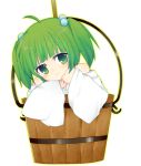  blush bucket bunsai green_eyes green_hair hair_bobbles hair_ornament japanese_clothes kisume long_sleeves off_shoulder short_hair smile solo touhou twintails white_background wide_sleeves 