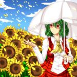  ascot checkered cloud clouds flower flower_field green_hair kazami_yuuka nonopomu petals red_eyes short_hair sky smile solo sunflower touhou umbrella 