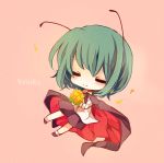  =_= antennae blush bouquet cape character_name closed_eyes eyes_closed flower green_hair long_sleeves petals romaji short_hair smile solo touhou wriggle_nightbug yukiusagi_(paretto) 