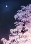  cat in_tree irie_io japanese_clothes kimono moon night original sky tree 