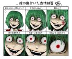 ? blood chama_(painter) crazy crazy_smile creepy crying expressions fang fangs green_hair kazami_yuuka open_mouth red_eyes short_hair tears touhou translated translation_request veins yandere 