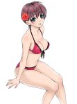  asbel_lhant bikini blue_eyes breasts brown_hair cleavage flower genderswap hair_flower hair_ornament hibiscus original red_bikini short_hair sitting solo swimsuit tales_of_(series) tales_of_graces usaginagomu white_background 