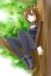  animal_ears blue_eyes breasts brown_hair cleavage cleavage_cutout feet jason_(kaiten_kussaku_kikou) linith lyrical_nanoha outdoors pantyhose short_hair smile socks solo tail tree 