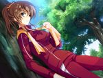  akatsuki_no_goei brown_hair character_request game_cg tagme_(character) tomose_shunsaku tree 