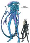  70s alien alien_(movie) avatar_(movie) crossover kusagami_style monster na&#039;vi oldschool science_fiction simple_background tail white_background xenomorph 