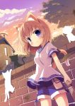  animal_ears black_cat blush brick_wall brown_hair cat cat_ears cat_tail cloud clouds fang highres holding looking_at_viewer masaki_(machisora) original purple_eyes shorts smile solo tail violet_eyes white_cat 