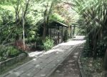  nature no_humans nori_tamago original plant scenery scenic shrine sunlight temple torii tree 