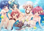  &gt;_&lt; aoki_reika armpits bandeau barefoot bikini blonde_hair blue_background blue_eyes blue_hair breasts candy_(smile_precure!) cleavage creature feet fish freediving frilled_bikini frills front-tie_top green_eyes green_hair hair_ornament hairband hairclip hino_akane hoshizora_miyuki kise_yayoi long_hair midorikawa_nao multiple_girls navel pink_eyes pink_hair ponytail precure red_eyes red_hair redhead shiny shiny_skin short_hair short_twintails smile smile_precure! soles striped striped_bikini striped_swimsuit summer swimming swimsuit toes tokunou_shoutarou turtle twintails underwater water yellow_eyes 