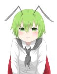  androgynous angry antennae blush bust cape face green_eyes green_hair kieeyo pout shirt simple_background solo touhou white_background wriggle_nightbug 