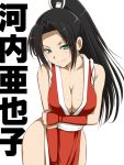  blush breast_hold breasts cleavage cosplay fatal_fury green_eyes hyouka king_of_fighters kouchi_ayako long_hair looking_at_viewer niwatori_kokezou ponytail shiranui_mai shiranui_mai_(cosplay) simple_background smile snk solo white_background 
