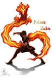  1boy avatar:_the_last_airbender black_hair chinese_clothes dragon fire fire_dragon kamen_rider kamen_rider_ryuki_(series) pyrokinesis renirevenge scar signature solo zuko 