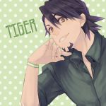  brown_eyes brown_hair facial_hair higuchi_hiru kaburagi_t_kotetsu male solo stubble tiger_&amp;_bunny 