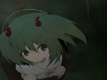  bucket collarbone green_eyes green_hair hair_bobbles hair_ornament in_bucket in_container kisume rope short_hair solo touhou twintails 
