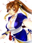  breasts brown_eyes brown_hair cherry_blossoms cleavage dead_or_alive fingerless_gloves gloves japanese_clothes kasumi lips long_hair ninja petals ponytail sakichi6891 smile solo 