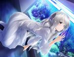  aqua_eyes blue_eyes dress fish_tank grey_hair hair_ribbon kasugano_sora long_hair ribbon ribbons silver_hair solo wingheart yosuga_no_sora 