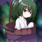  blush bucket green_eyes green_hair hair_bobbles hair_ornament in_bucket in_container kagesaki-ice kisume long_sleeves short_hair solo touhou twintails wide_sleeves 