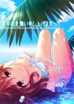  ^_^ ainili bikini brown_hair closed_eyes cloud frilled_bikini frills front-tie_top hair_bobbles hair_ornament looking_at_viewer lying on_back original palm_tree partially_submerged red_eyes shochuumimai side-tie_bikini sky smile solo swimsuit translated tree water 