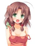  :d ahoge animal_ears asa_no_ha blush brown_hair bust collarbone dog_ears fang green_eyes hair_bobbles hair_ornament off_shoulder open_mouth original simple_background smile solo turtle white_background 