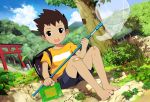  1boy ant backpack bag bandaid barefoot brown_hair butterfly cage child cicada insect ladybug leaf mauveboy net open_mouth original outdoors praying_mantis torii 