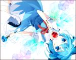  blue_eyes blue_hair blue_rose candy_apple cirno flower ice ice_flower ice_wings puffy_sleeves remimim rose short_hair short_sleeves solo tongue touhou upside-down wings 