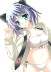  animal_ears aqua_eyes blush cat_ears chester collarbone dress_shirt grey_hair midriff navel necktie open_clothes open_shirt panties parted_lips sanya_v_litvyak shirt solo strike_witches underwear 