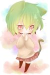  animal_ears cat_ears cat_tail chibi green_hair highres kazami_yuuka red_eyes shii_(cocoa) skirt solo tail tears touhou 